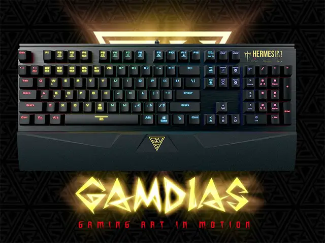 Gamdias Hermes P1 RGB Mechanical Gaming Keyboard Review 2