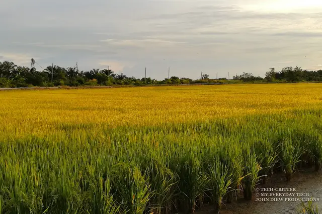 Sunset Smartphonegraphy Tips featuring Huawei P10 Plus 12