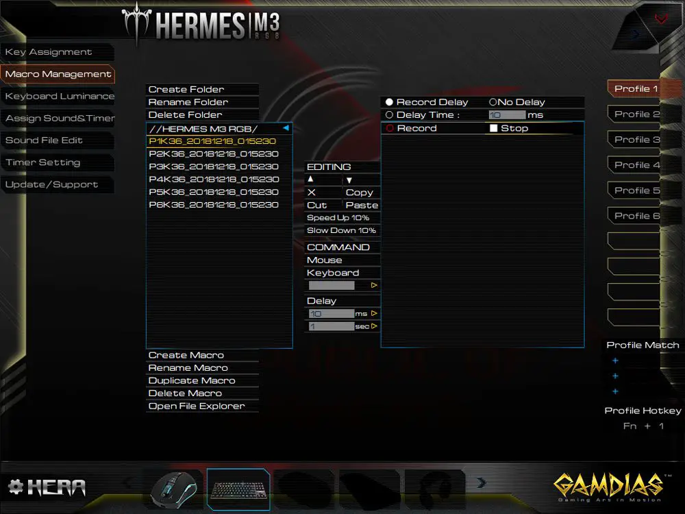 GAMDIAS Hermes M3 RGB keyboard HERA software