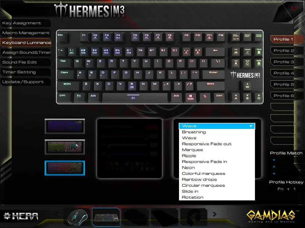 GAMDIAS Hermes M3 RGB keyboard HERA software