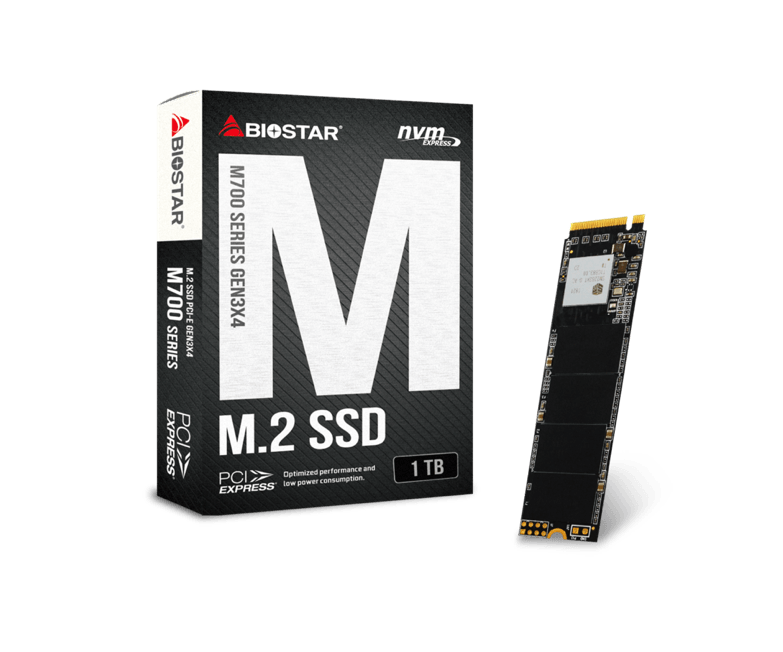 BIOSTAR M700 M.2 NVMe SSD