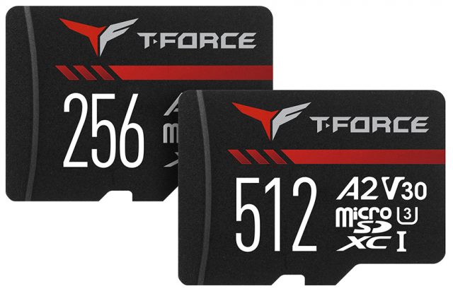 TEAMGROUP GAMING A2 microSD