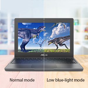 ASUS Chromebook CR1 4