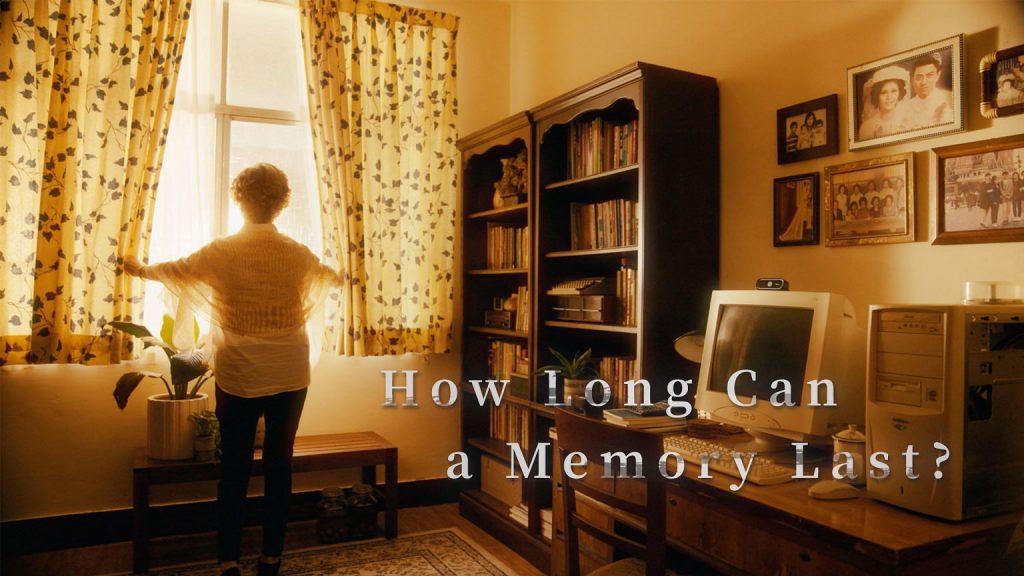Kingston How Long Can A Memory Last Micro Film
