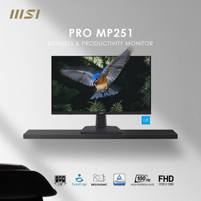 MSI Pro MP251 Monitor