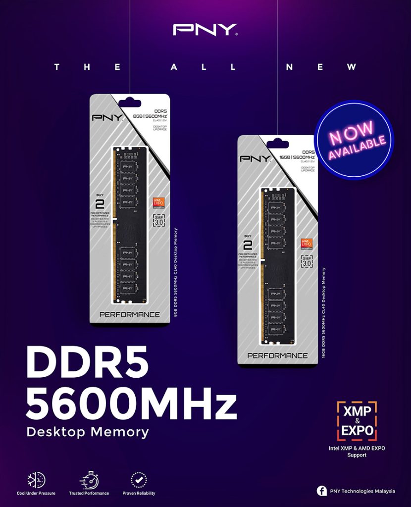 PNY DDR5 5600 RAM