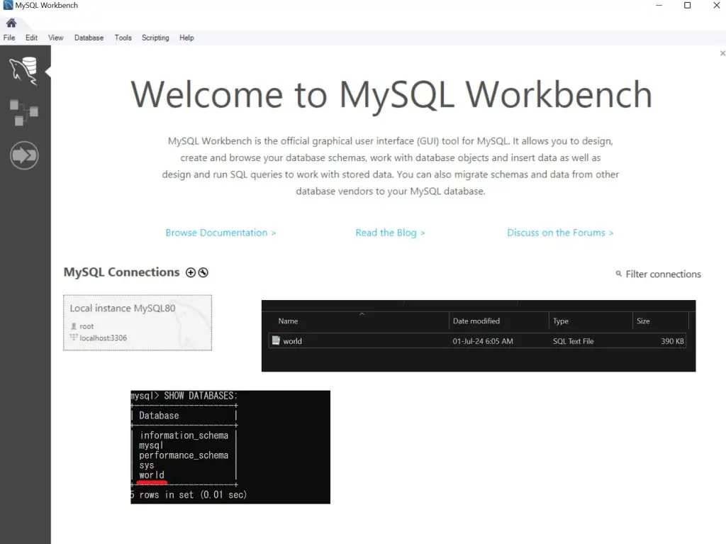 MySQL Workbench
