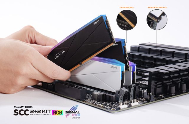 V COLOR DDR5 MANTA XFinity filler kit announced featured