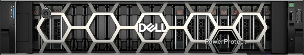 dell powerprotect d9910F ff bk SSD