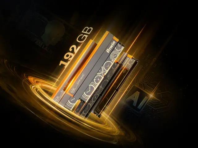 Black Opal OC Lab Gold Edition DW100 192 GB Memory Kit