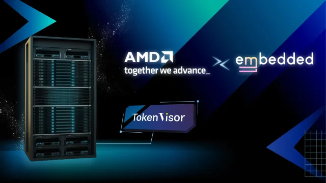Embedded LLM TokenVisor