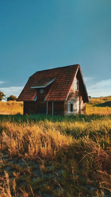 brown house on field
