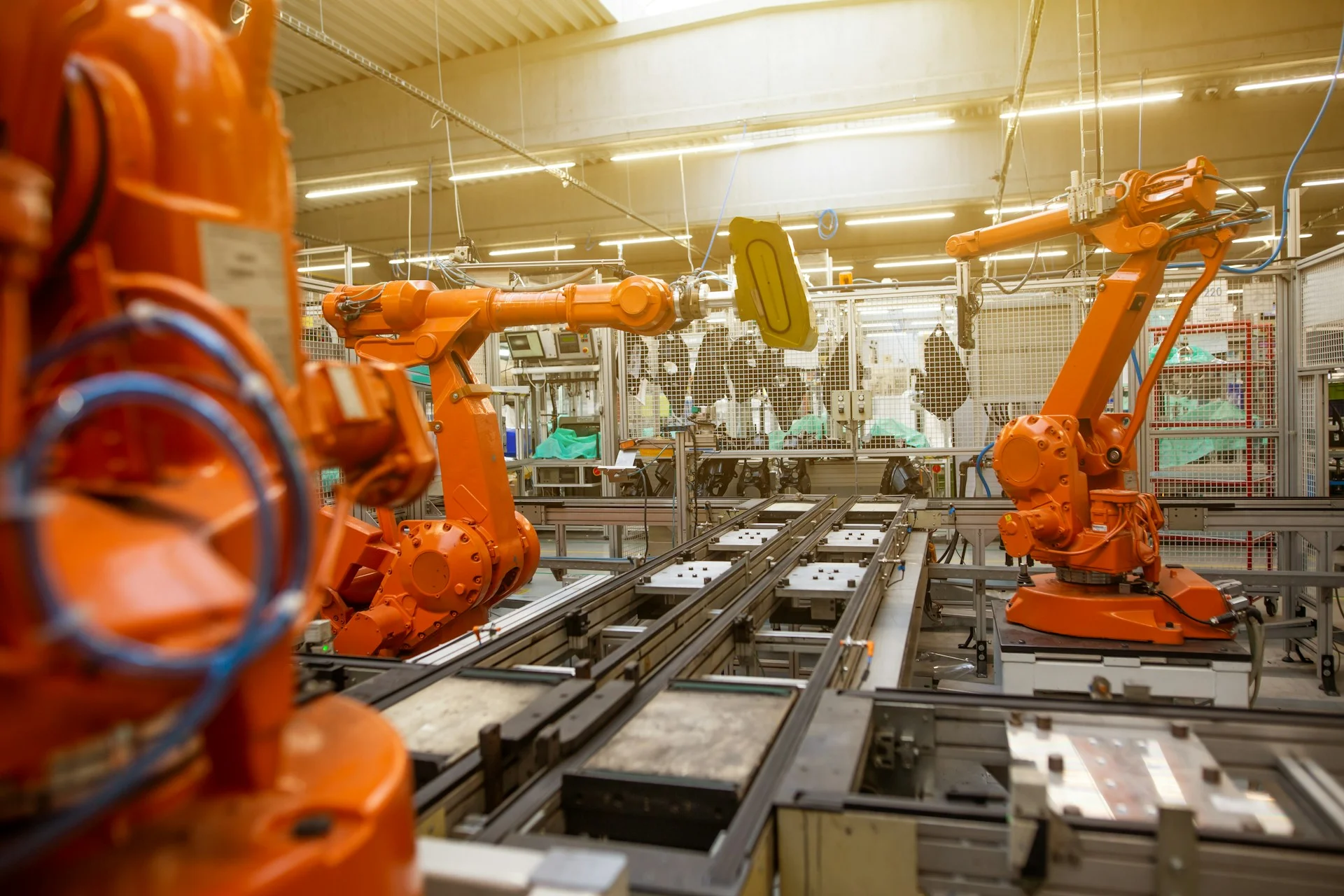 Preparing for a Career in the Age of Automation